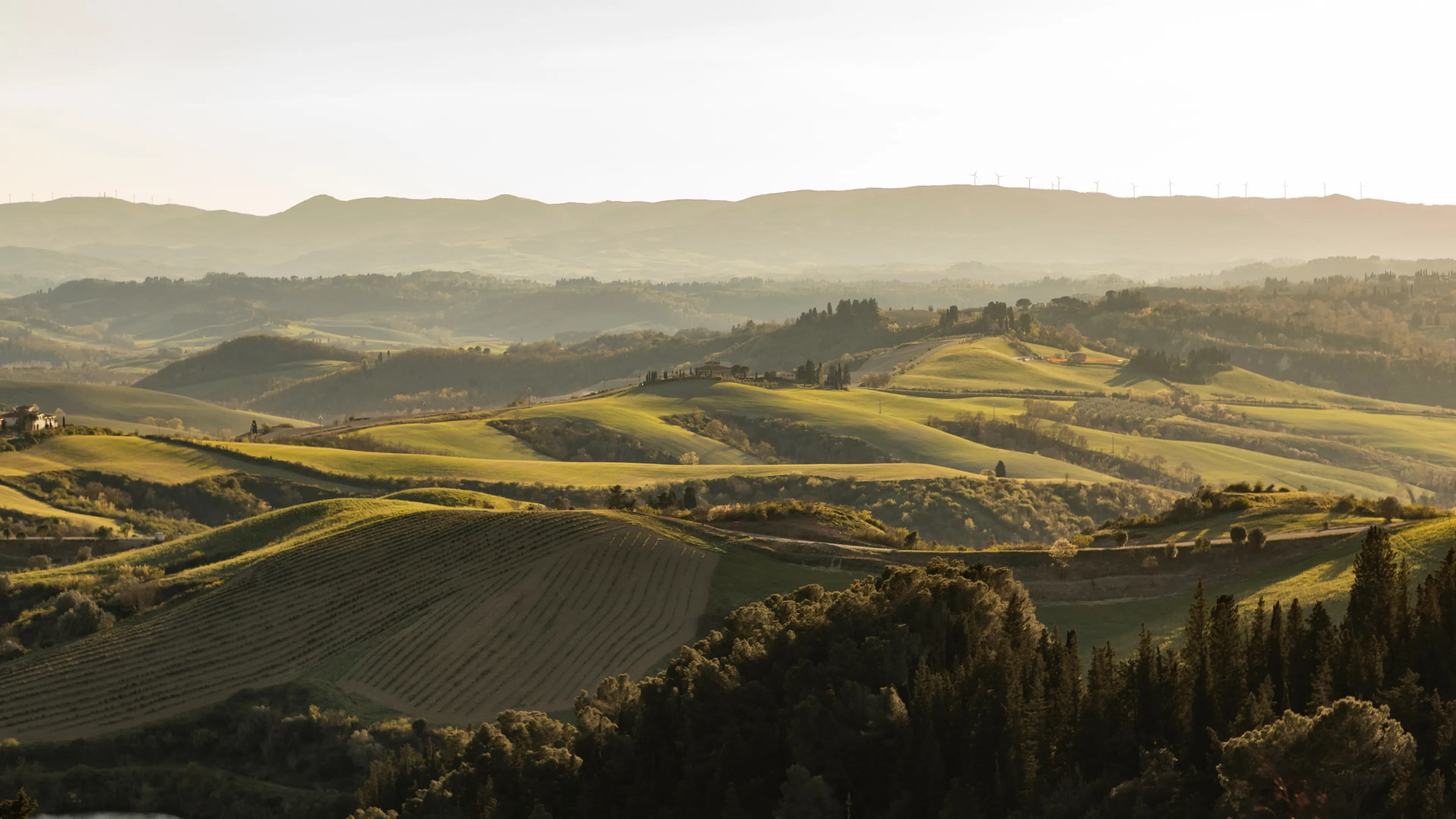Rolling Tuscan hills around Castelfalfi at dusk